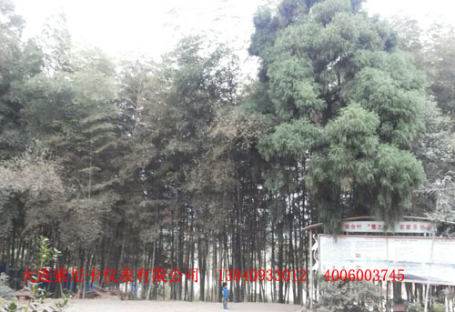 超聲波流量計(jì)安裝現(xiàn)場