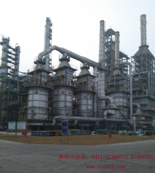 防爆超聲波流量計石化安裝現場